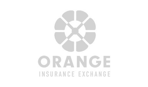 Orange Logo